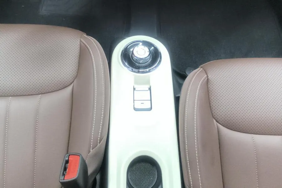 WuLing 2024 Plantronics 333km Enjoy Automatic Gear 8
