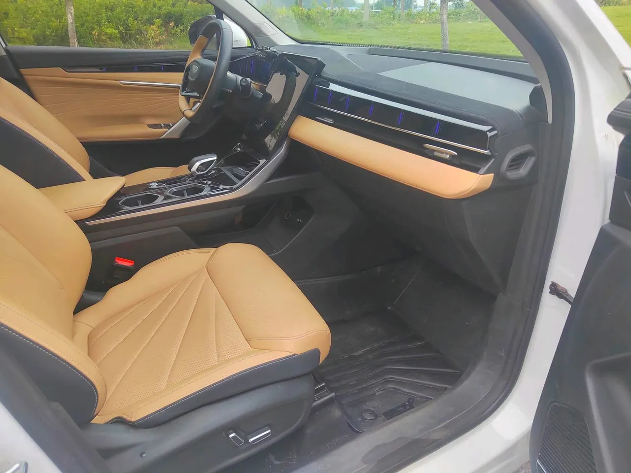 Geely 2023 Boyue L 2.0TD Honorable Automatic Gear 11