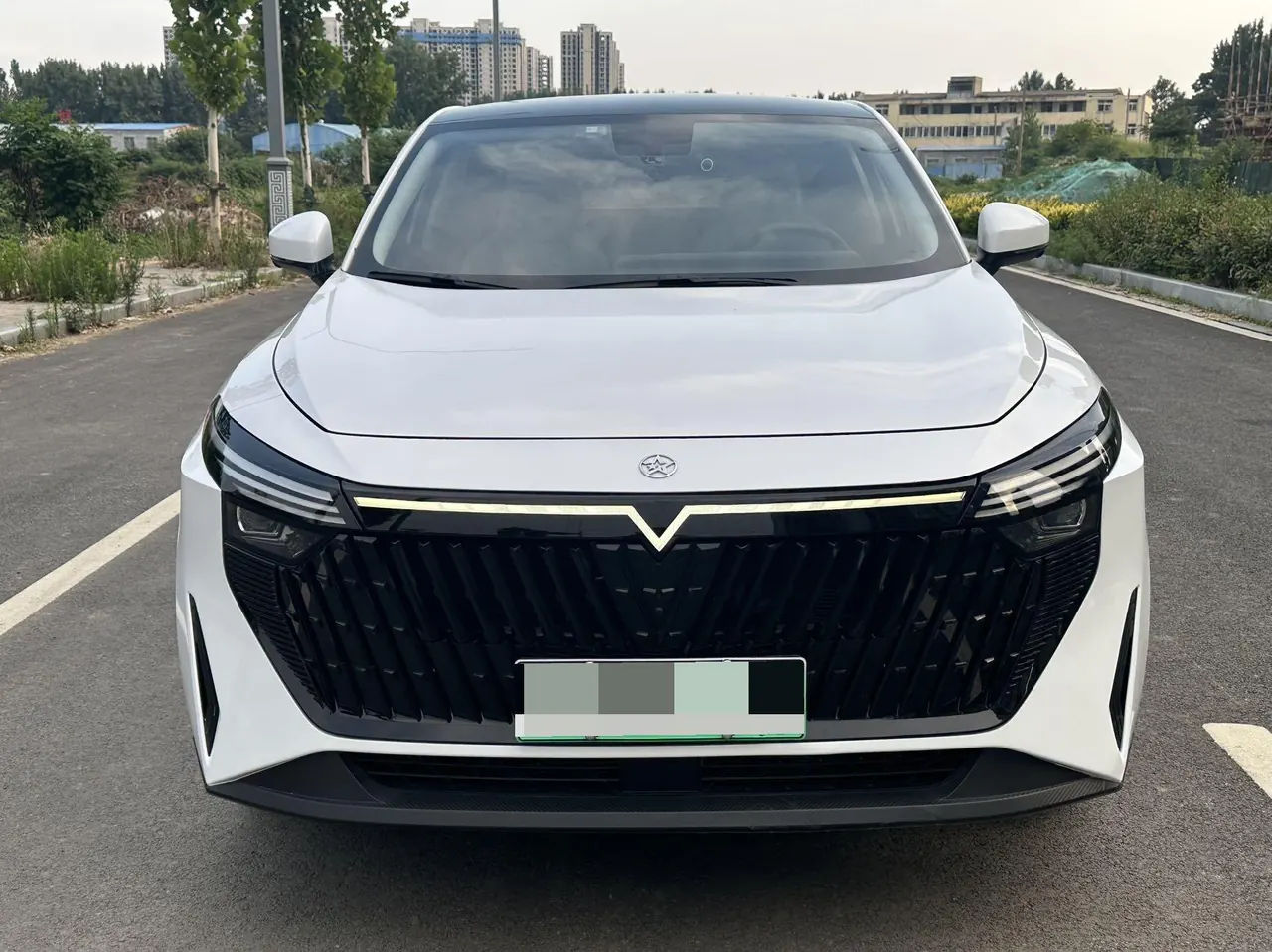 Venucia 2023 Large V DD-i Super Hybrid 1.5T Stepless 110km iE Edition Automatic Gear 3