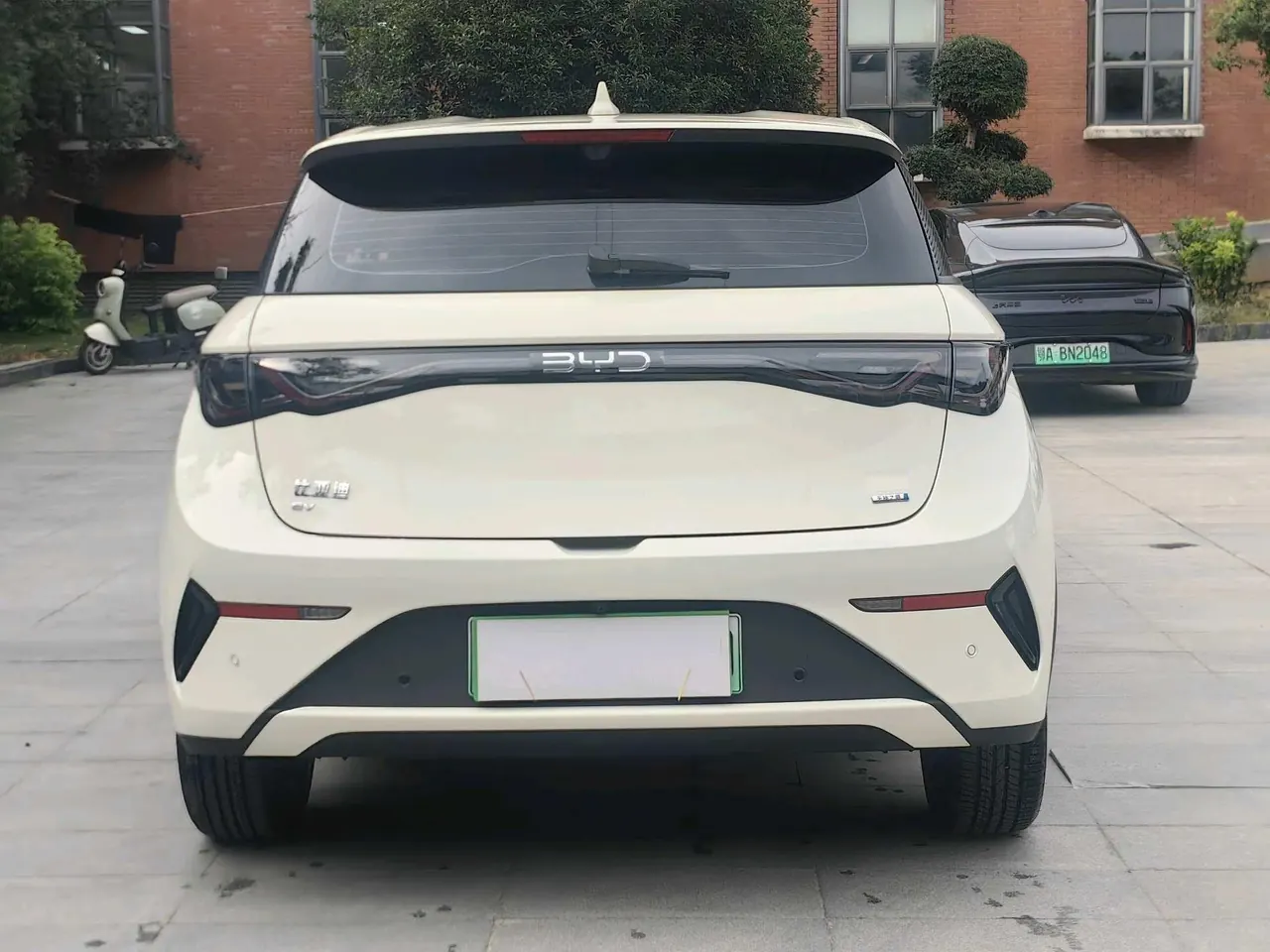 BYD 2025 Dolphin Smart Driving 420km Free Automatic 3