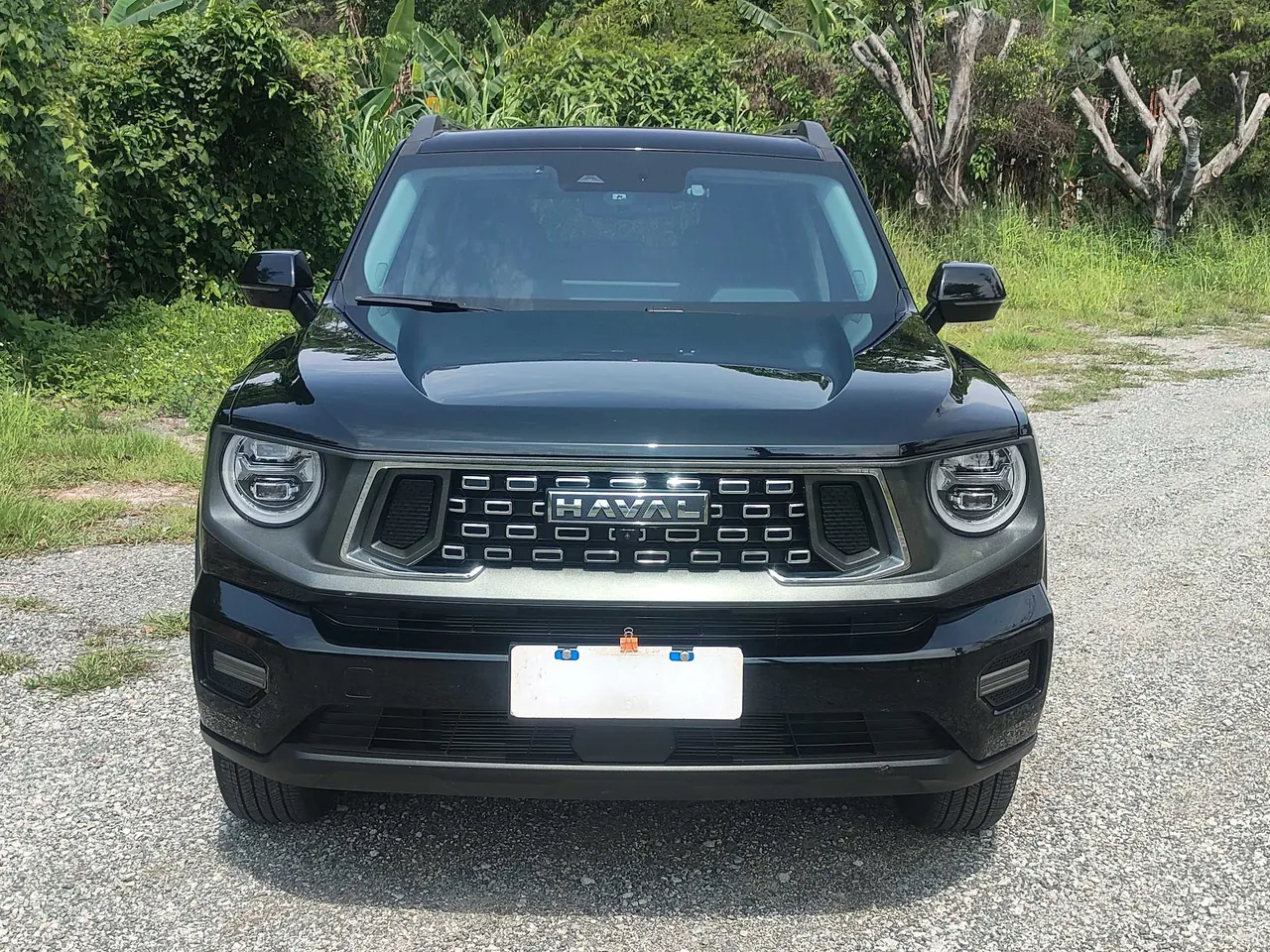 Haval 2023 Big Dog 1.5T Two-Drive Chaoye Plus Automatic Gear 4