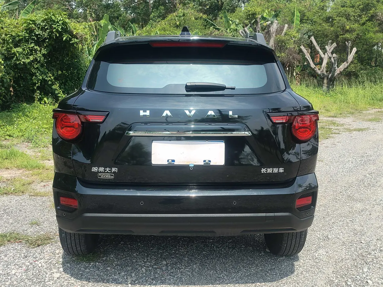 Haval 2023 Big Dog 1.5T Two-Drive Chaoye Plus Automatic Gear 7