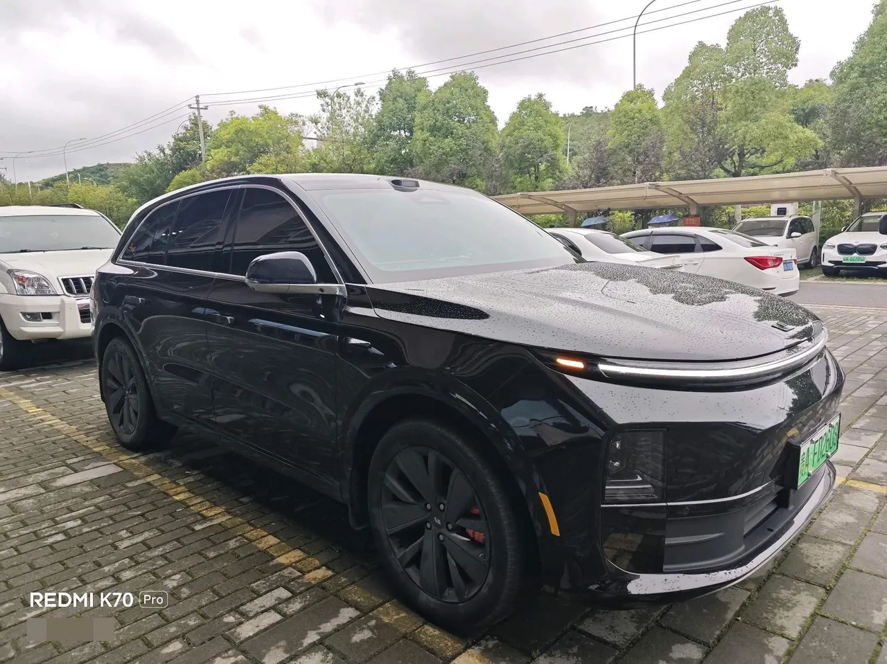 Li 2025 L6 Pro Intelligent Rejuvenation Automatic Gear 3