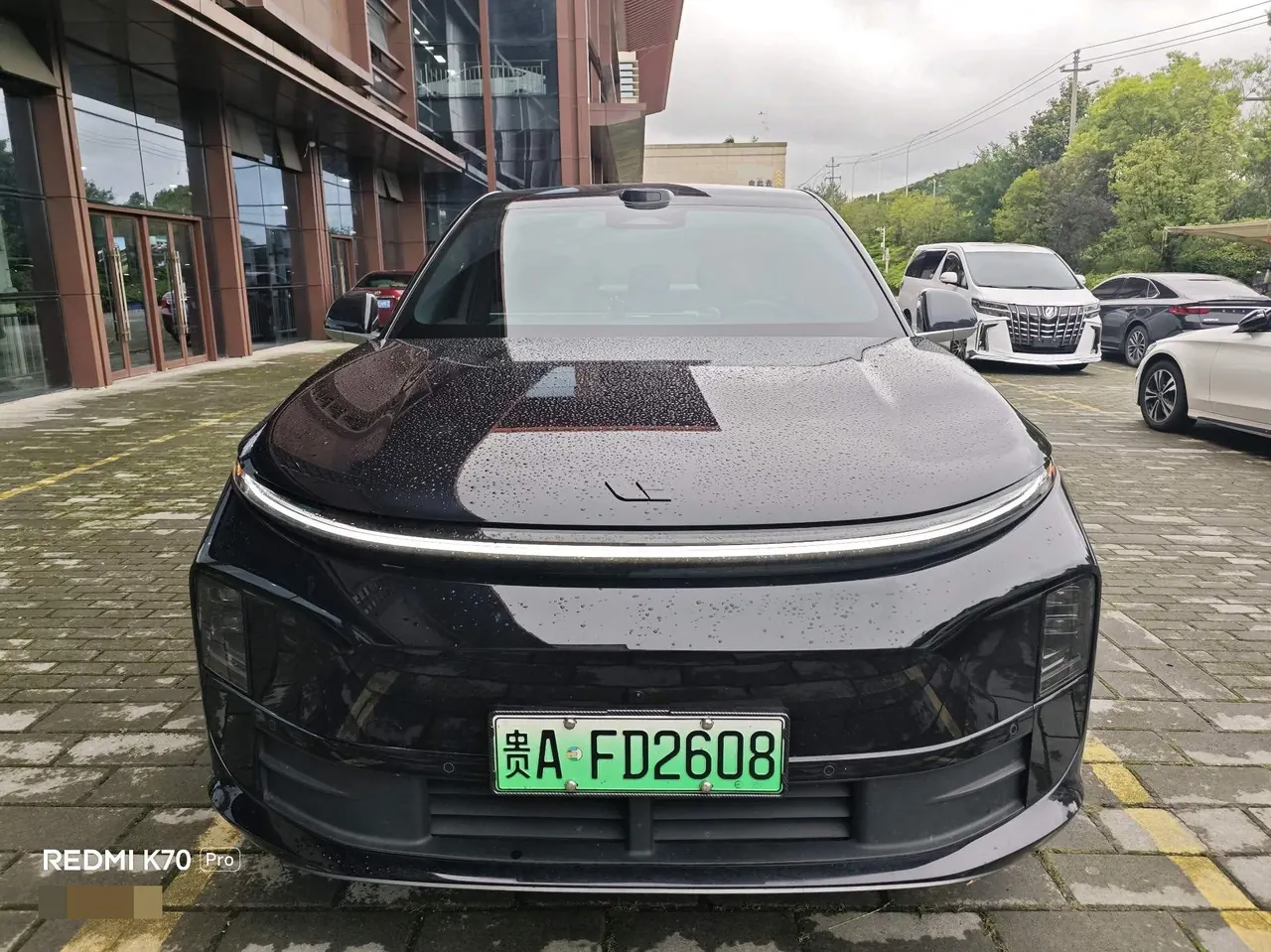 Li 2025 L6 Pro Intelligent Rejuvenation Automatic Gear 5