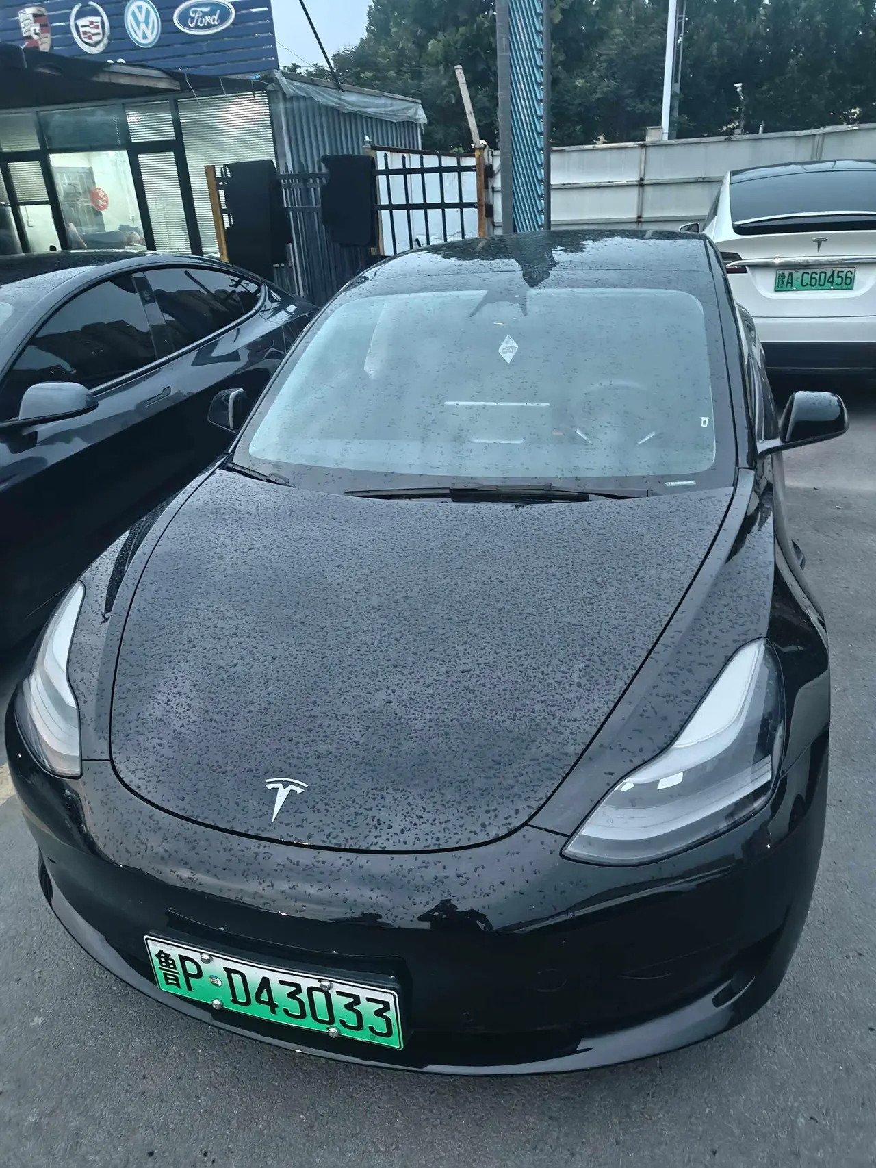 Tesla 2021 Model 3 Standard Endurance Rear Drive Upgraded Automatic Gear 6
