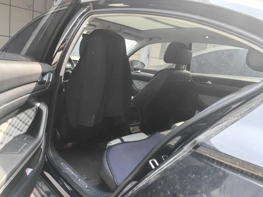 Volkswagen 2023 Magotan 2.0TSI 330TSI 2 million Commemorative Luxury Automatic Gear 6