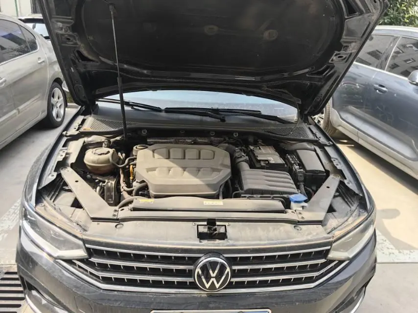 Volkswagen 2023 Magotan 2.0TSI 330TSI 2 million Commemorative Luxury Automatic Gear 7