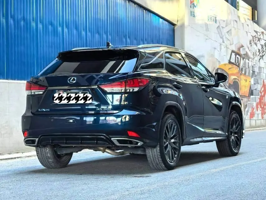 Lexus RX (Imported) 2021 RX300 F SPORT 2.0T Four-wheel Drive Automatic 5
