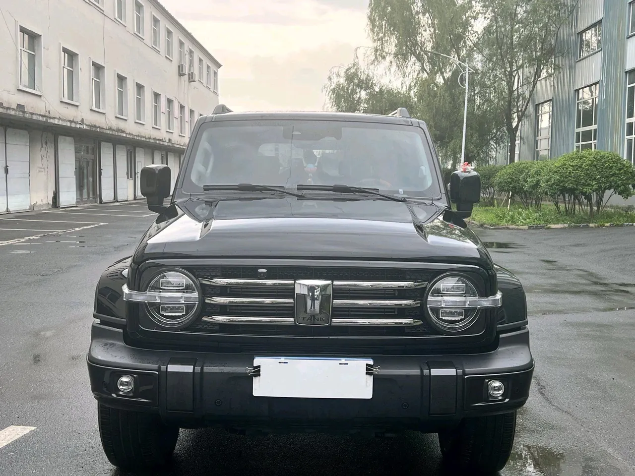 Tank 2021 Tank 300 2.0T City Edition Must-be Automatic 2
