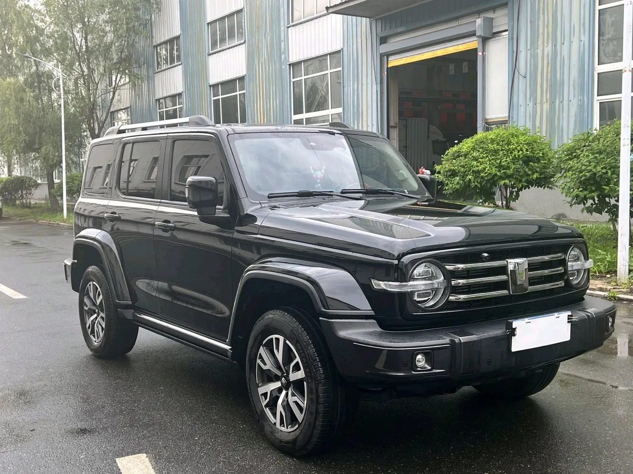 Tank 2021 Tank 300 2.0T City Edition Must-be Automatic 3