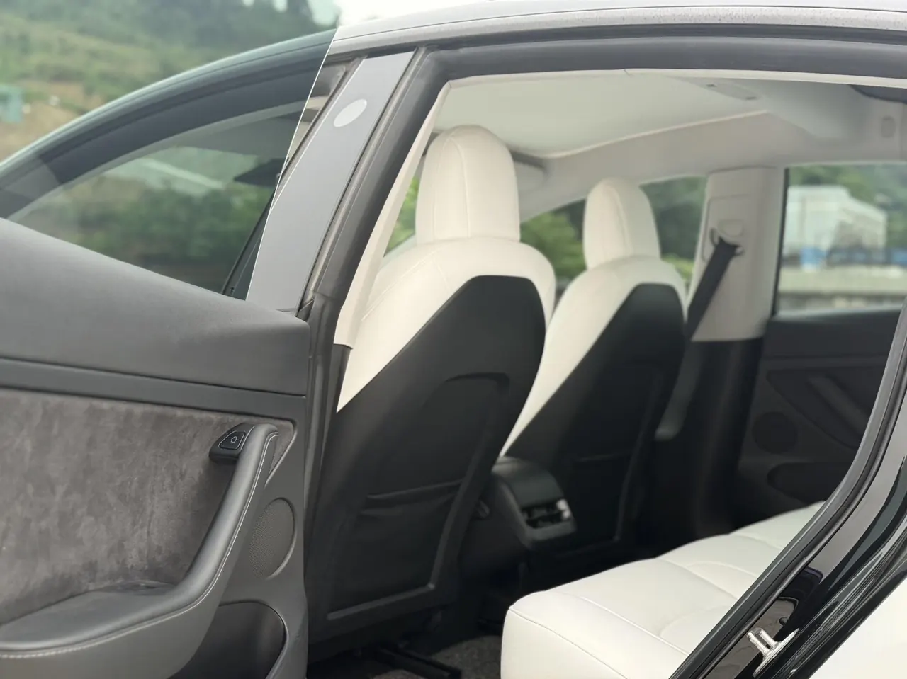 Tesla 2021 Model 3 Standard Endurance Rear Drive Upgraded Automatic Gear 6
