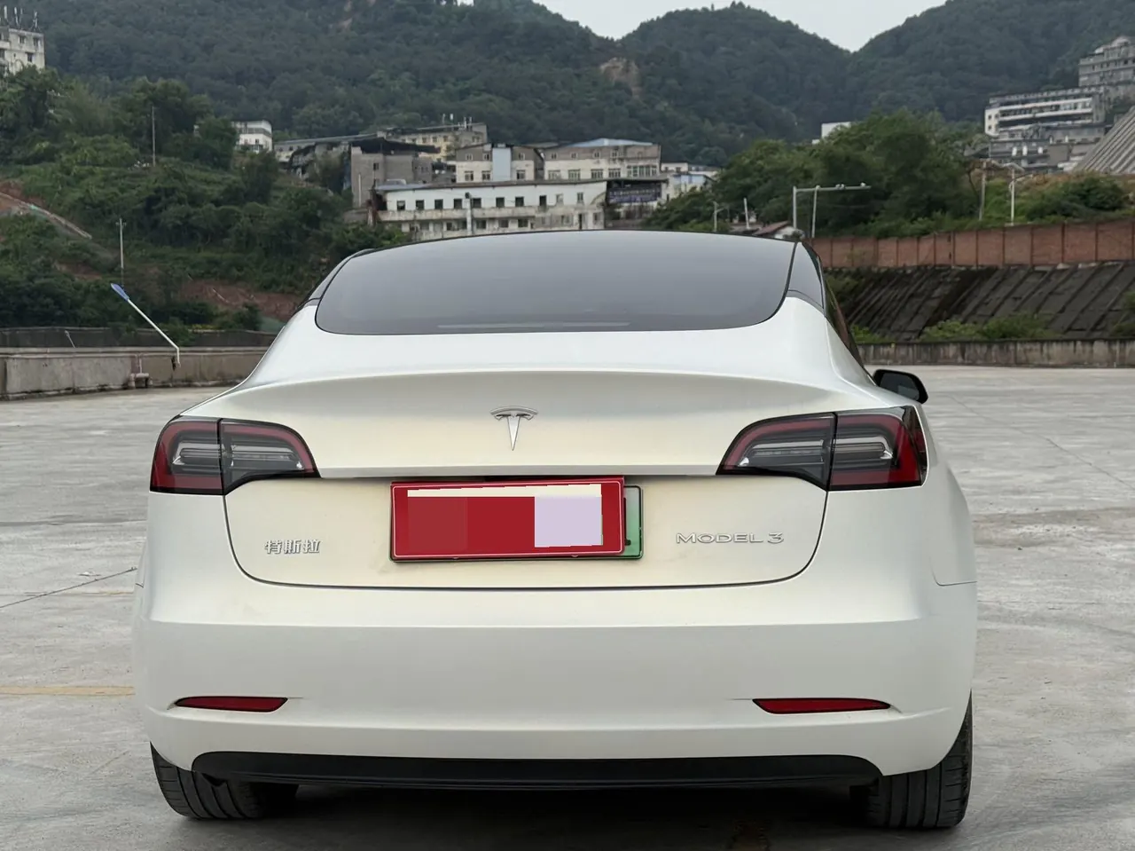 Tesla 2021 Model 3 Standard Endurance Rear Drive Upgraded Automatic Gear 8