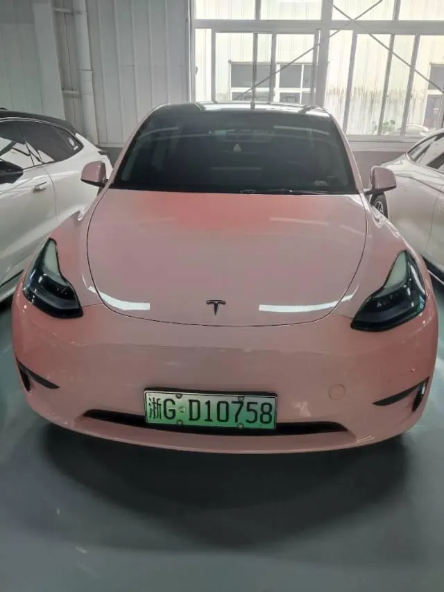 Tesla 2021 Model Y Performance high-performance all-wheel drive version automatic transmission 2
