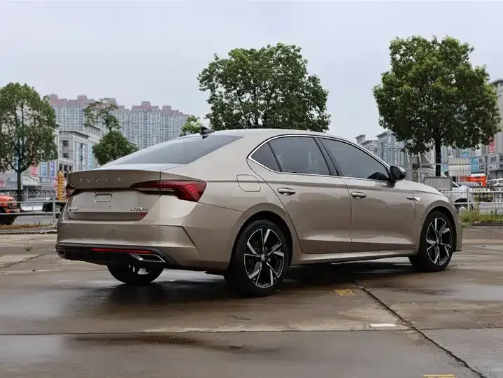 Ming Rui 2022 PRO TSI280 Premium Edition 11