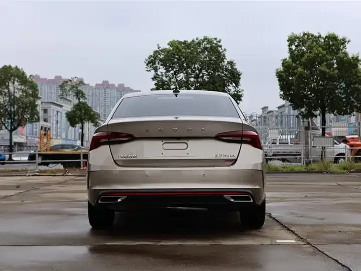 Ming Rui 2022 PRO TSI280 Premium Edition 12