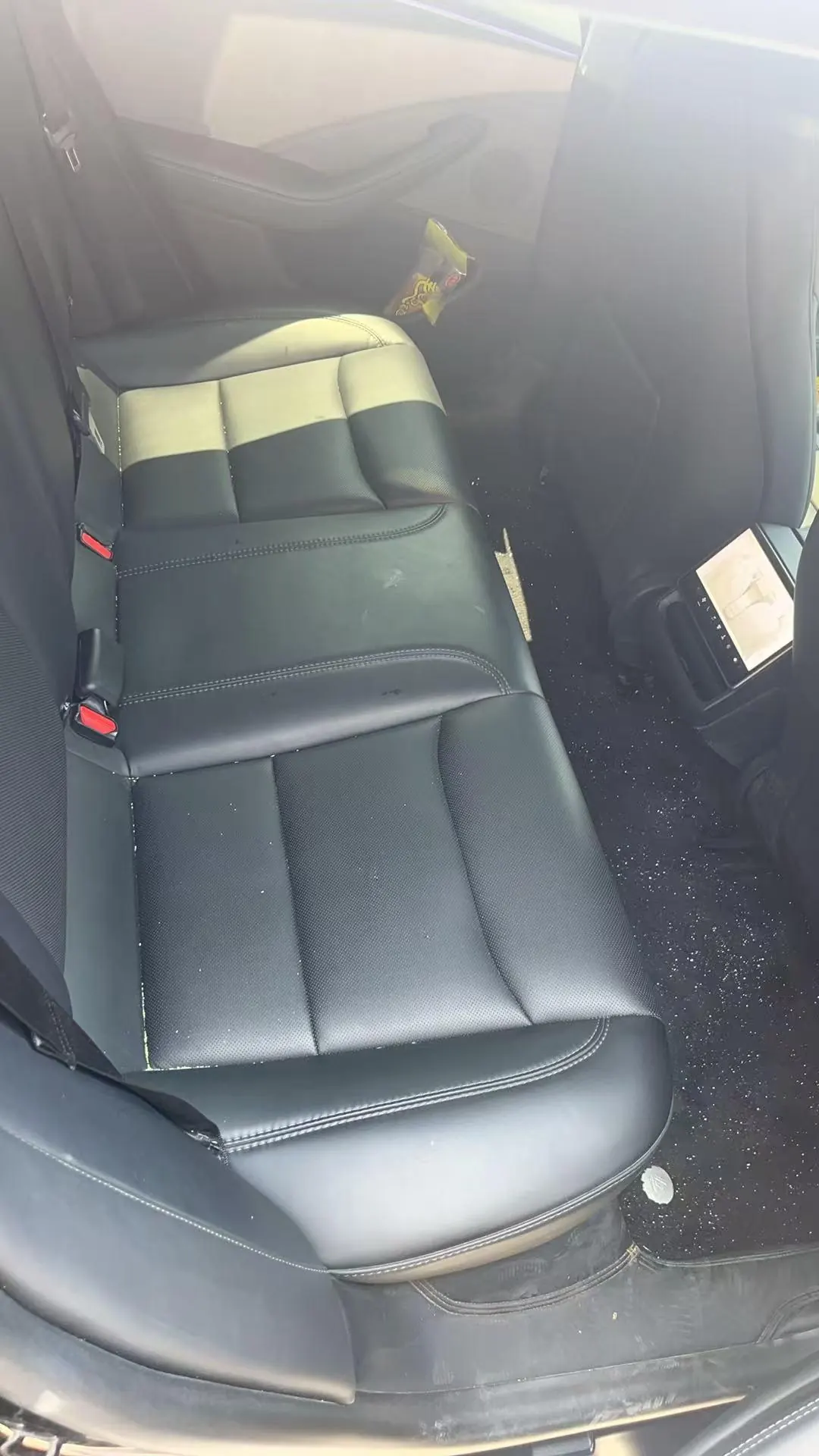 Tesla 2023 Model 3 Rejuvenation Edition Rear Wheel Drive Automatic Transmission 3