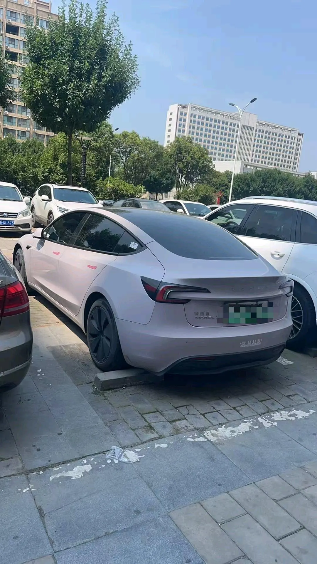Tesla 2023 Model 3 Rejuvenation Edition Rear Wheel Drive Automatic Transmission 5