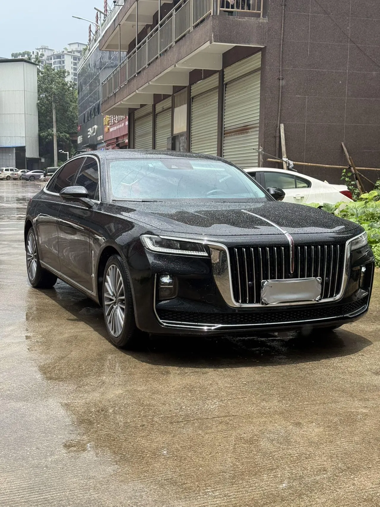 HongQi 2020 H9 48V 2.0T Zhilian Flag Edition Automatic Gear 3