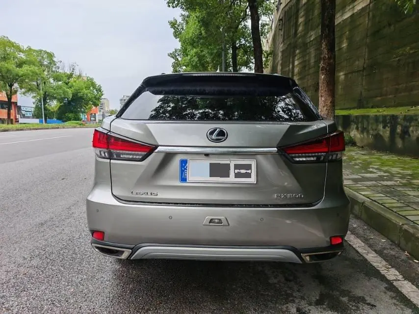Lexus RX (Imported) 2020 RX300 2.0T Four-wheel Drive Elegant Edition (Modified) Automatic Gear 3