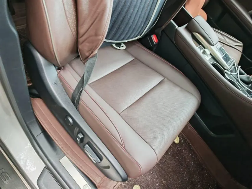 Lexus RX (Imported) 2020 RX300 2.0T Four-wheel Drive Elegant Edition (Modified) Automatic Gear 7