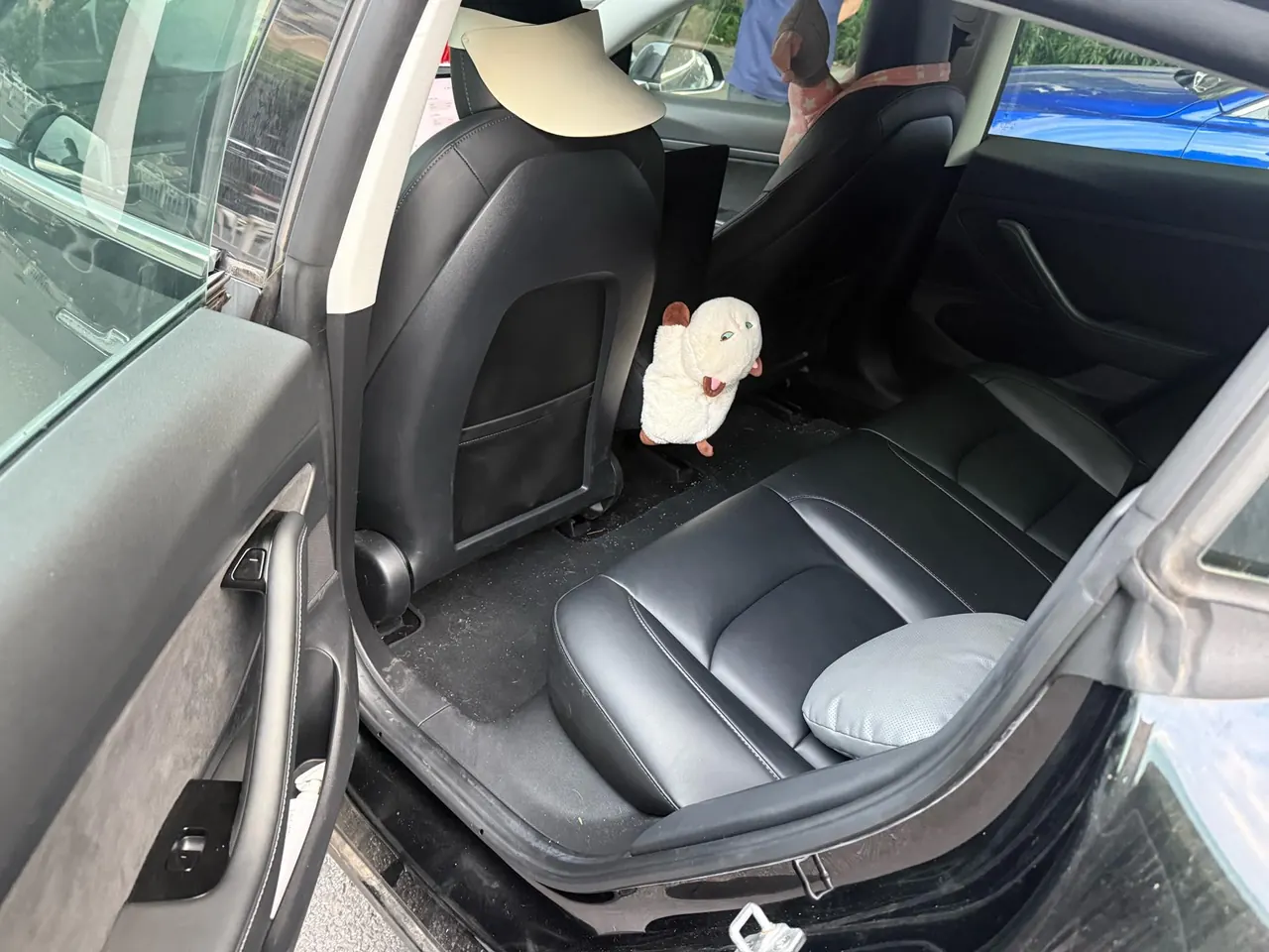 Tesla 2020 Model 3 Standard Endurance Rear Drive Upgraded Automatic Gear 5