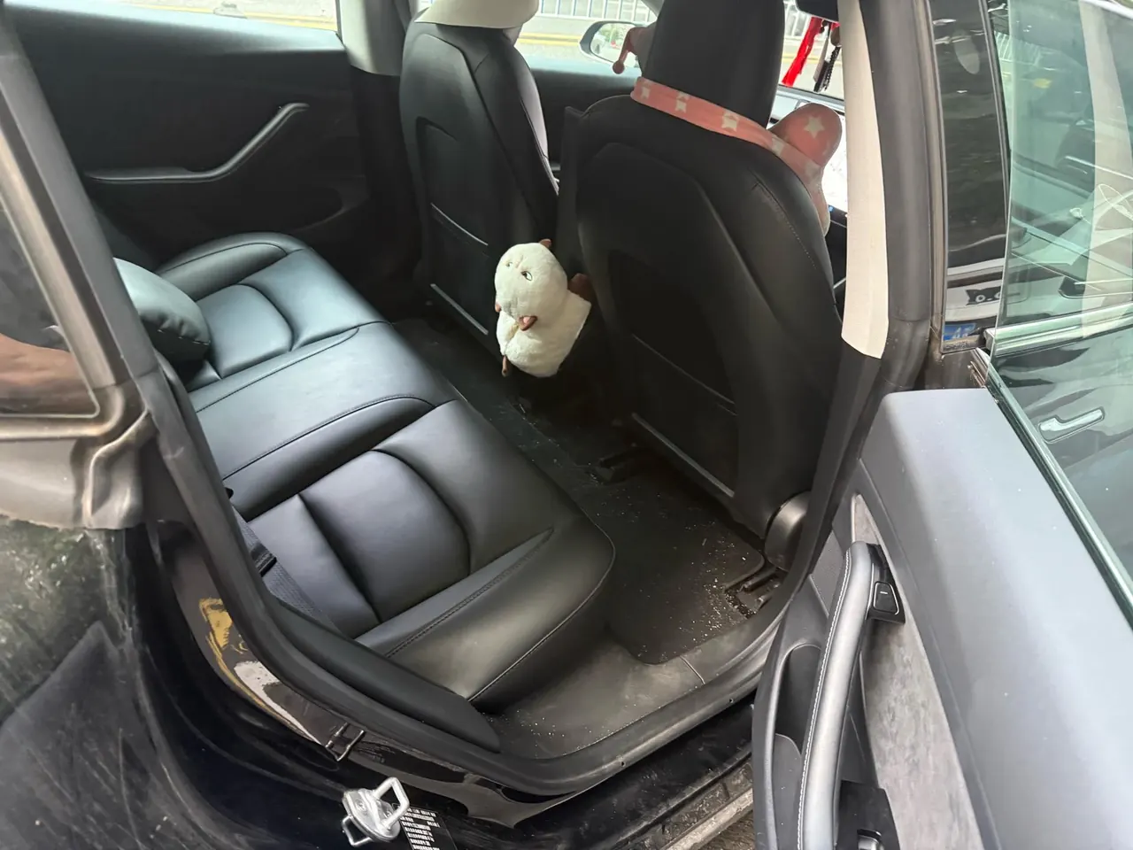 Tesla 2020 Model 3 Standard Endurance Rear Drive Upgraded Automatic Gear 6