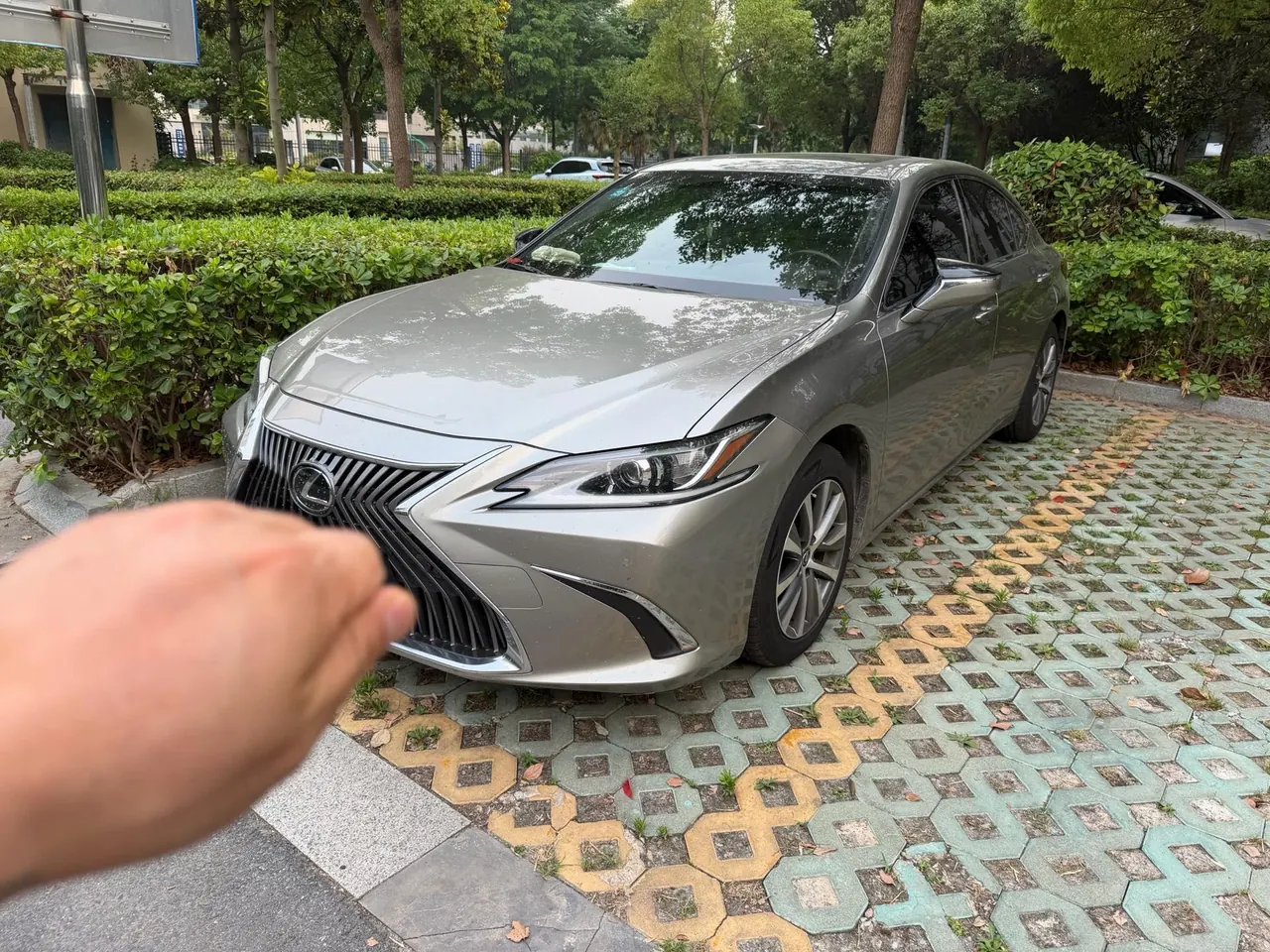 Lexus ES (Imported) 2020 ES200 2.0 Stepless Premium Edition Automatic Gear - View 1