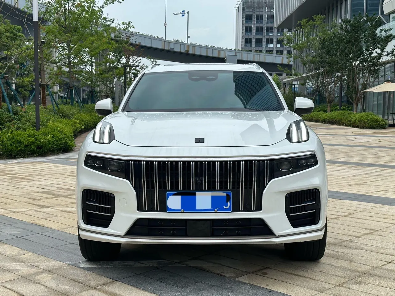 LYNK&amp;CO 2021 LYNK&amp;CO 09 MHEV 2.0T Ultra 7-seat automatic gear 2