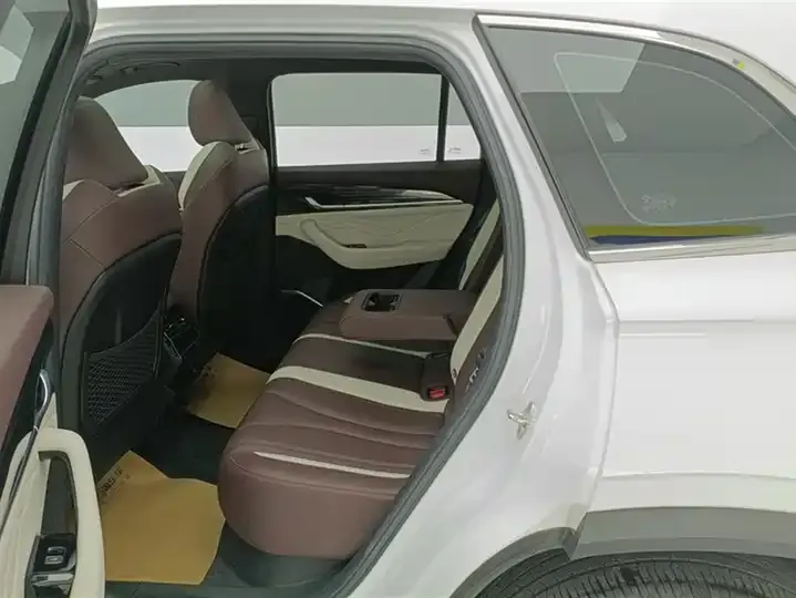 XingyueL (Monjaro) 2021 model 2.0TD DCT EVO two-wheel-drive premium version 11