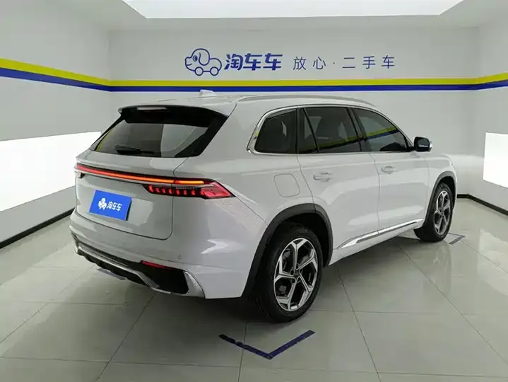 XingyueL (Monjaro) 2021 model 2.0TD DCT EVO two-wheel-drive premium version 3