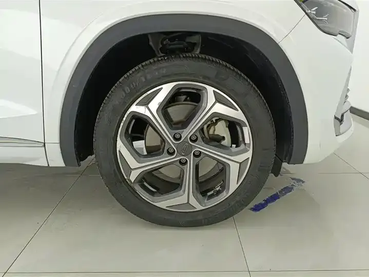 XingyueL (Monjaro) 2021 model 2.0TD DCT EVO two-wheel-drive premium version 6