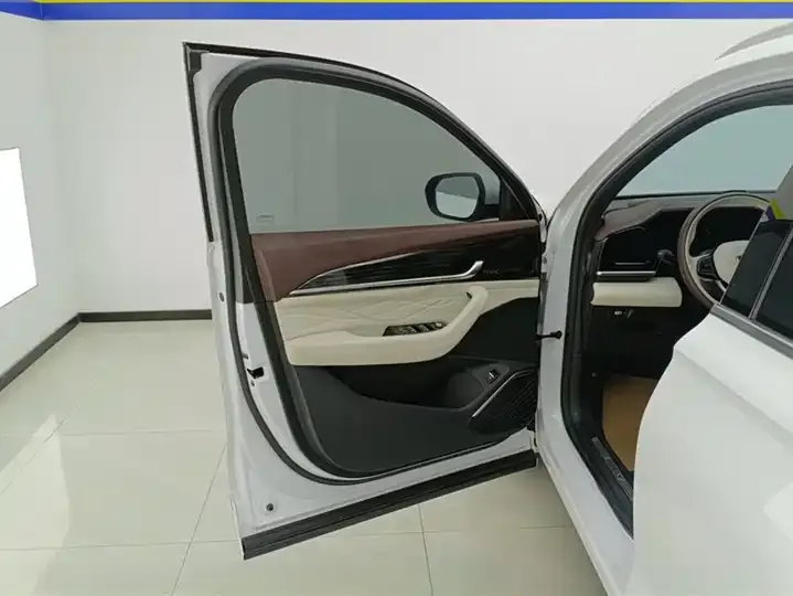 XingyueL (Monjaro) 2021 model 2.0TD DCT EVO two-wheel-drive premium version 7