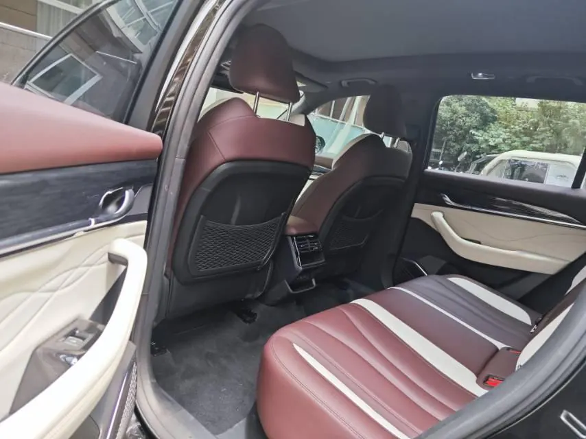 Geely 2021 XingyueL (Monjaro) 2.0TD EVO two-wheel drive distinguished automatic transmission 5