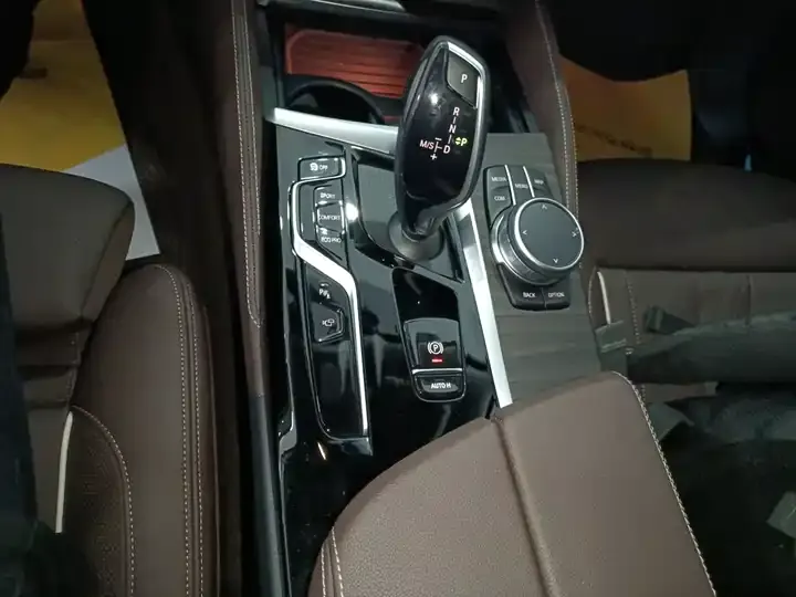 BMW 5 Series 2022 530Li Premium Luxury Suit 10