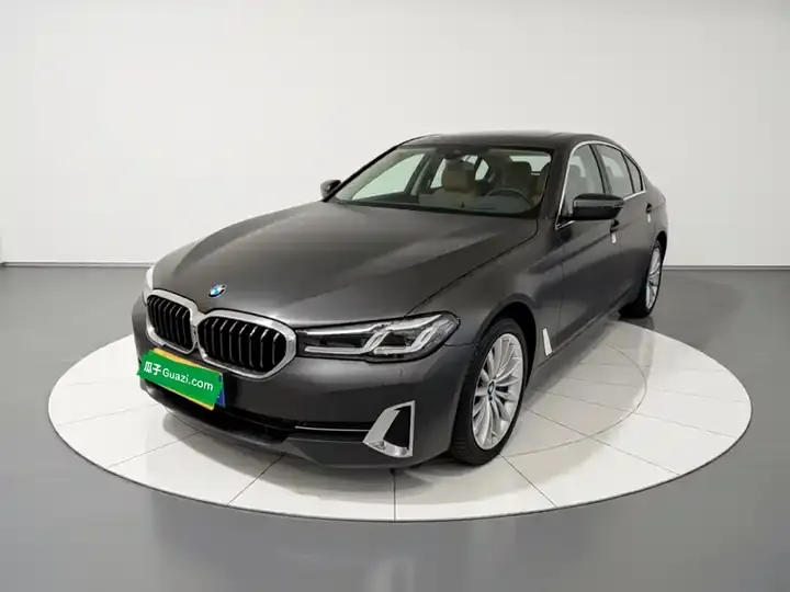 BMW 5 Series 2022 530Li Premium Luxury Suit 2
