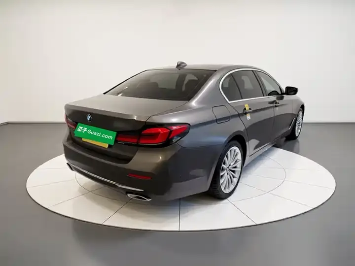 BMW 5 Series 2022 530Li Premium Luxury Suit 5
