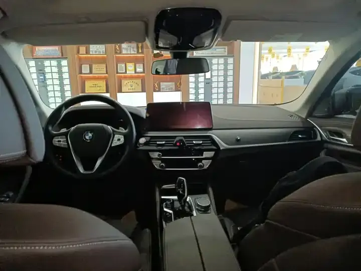 BMW 5 Series 2022 530Li Premium Luxury Suit 6