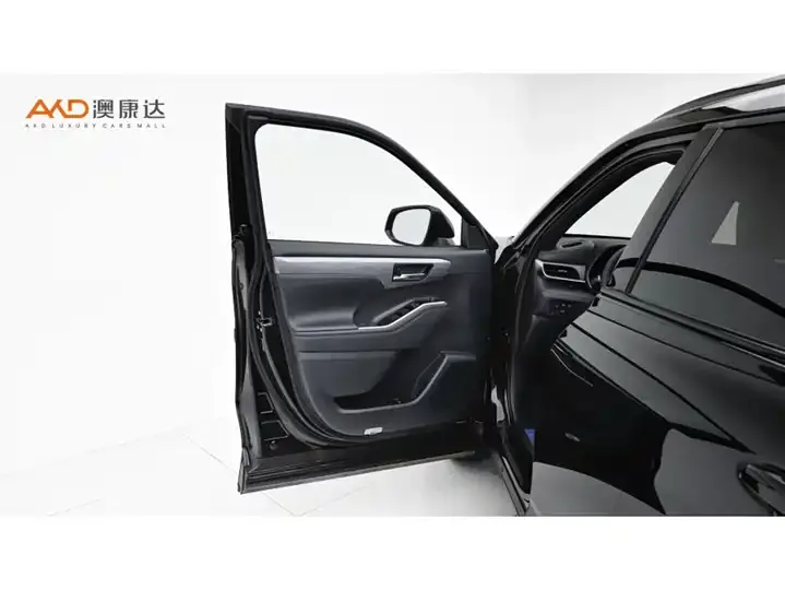 Crown Lu Fang 2026 2.0T 4-wheel drive 10