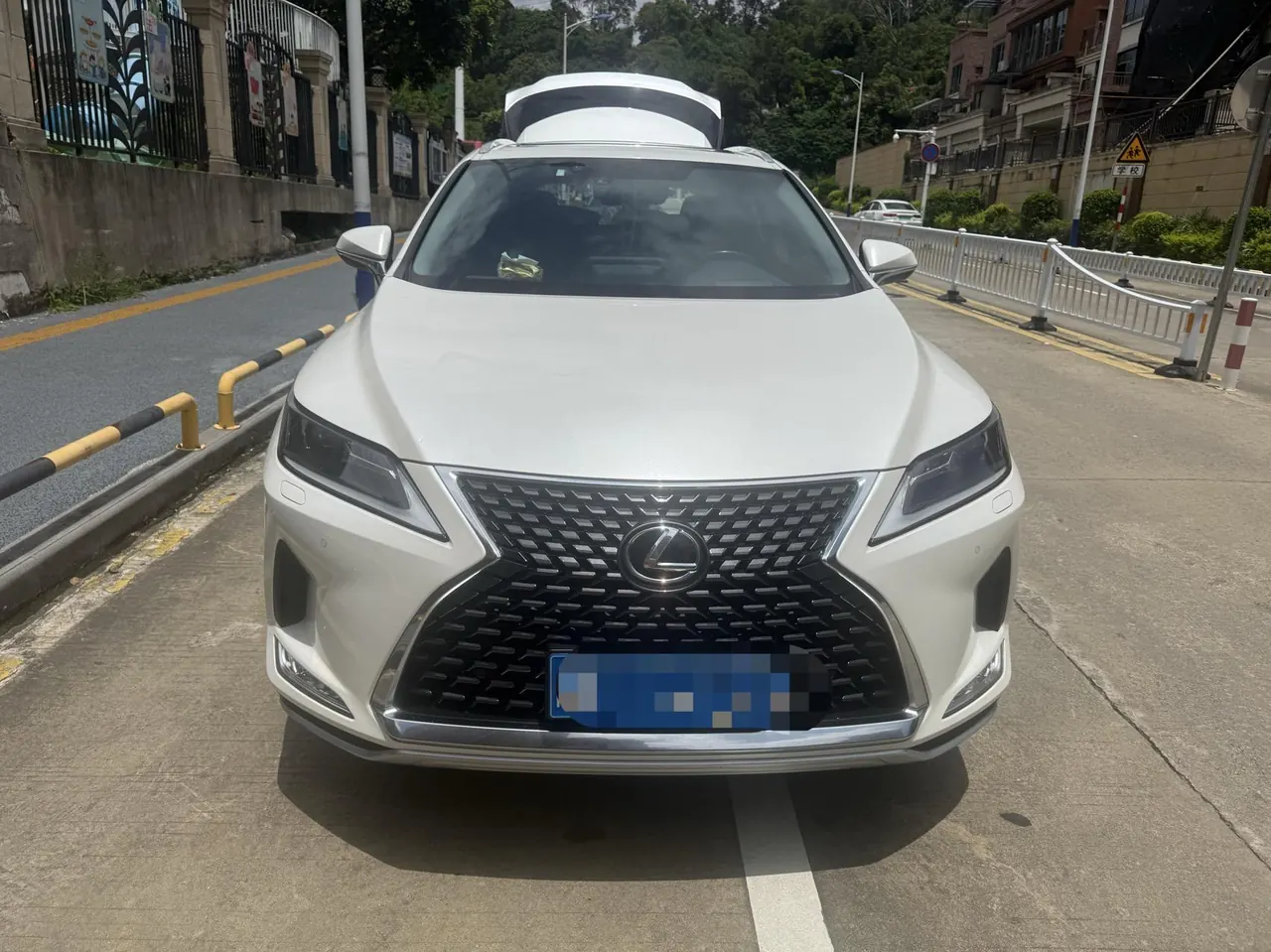 Lexus RX (Imported) 2020 RX300 2.0T Two-Drive Elite Edition (Revised) Automatic Gear 2