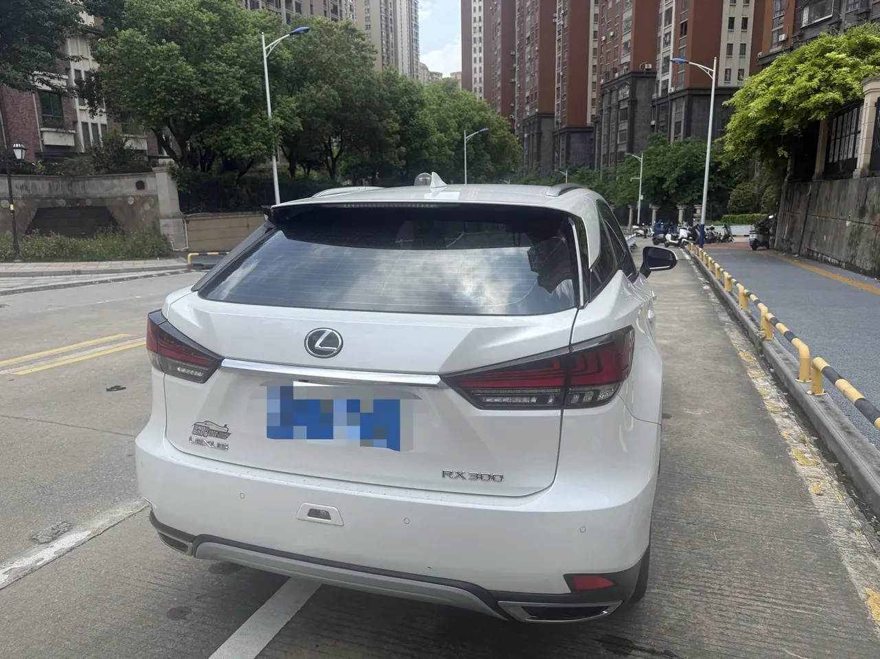 Lexus RX (Imported) 2020 RX300 2.0T Two-Drive Elite Edition (Revised) Automatic Gear 9