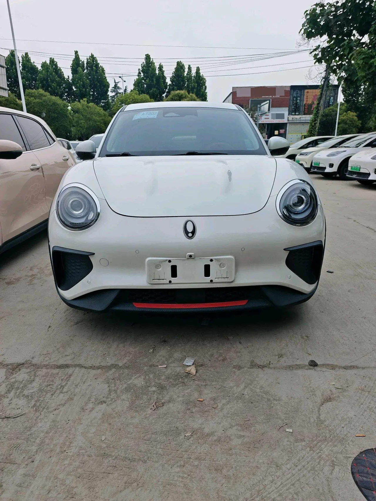Ora Good Cat GT 2022 Good Cat GT 401km Standard Endurance Mulan Edition Automatic Gear 2