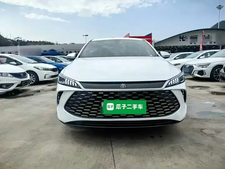 Qin PLUS 2025 DM-i Smart Driving Edition 55KM Leading Model 3