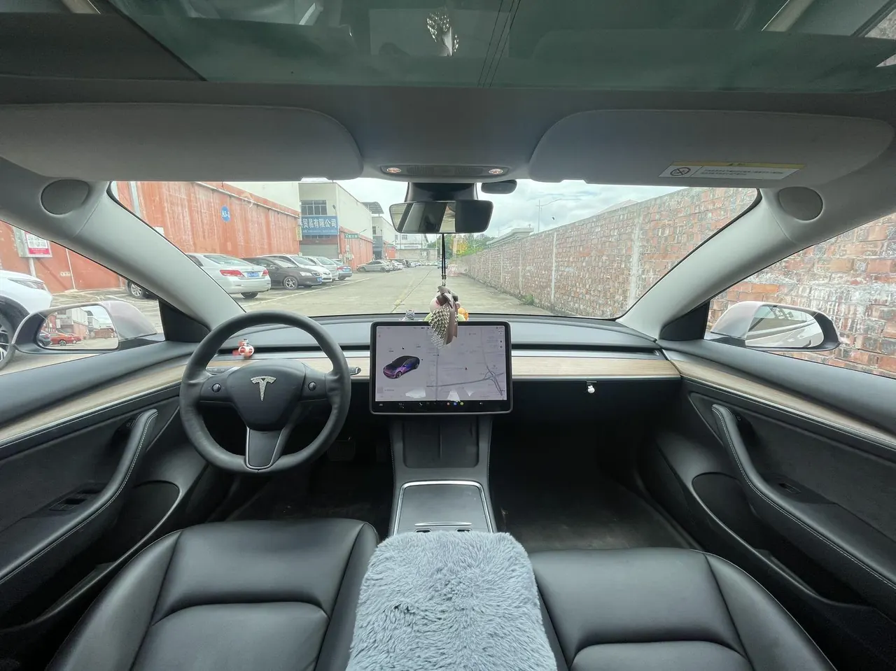 Tesla 2021 Model 3 Standard Endurance Rear Drive Upgraded Automatic Gear 6