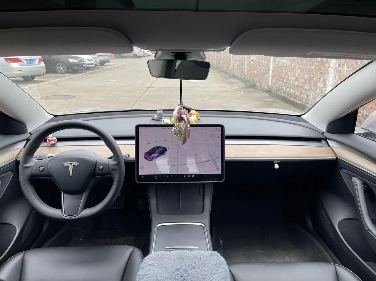 Tesla 2021 Model 3 Standard Endurance Rear Drive Upgraded Automatic Gear 7
