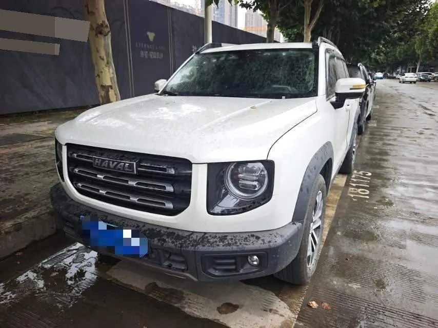 Haval 2021 Big Dogs 1.5T Border Animal Husbandry Wangcai Edition Automatic Gear - View 1