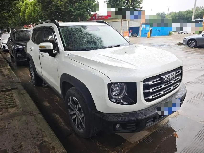 Haval 2021 Big Dogs 1.5T Border Animal Husbandry Wangcai Edition Automatic Gear 2