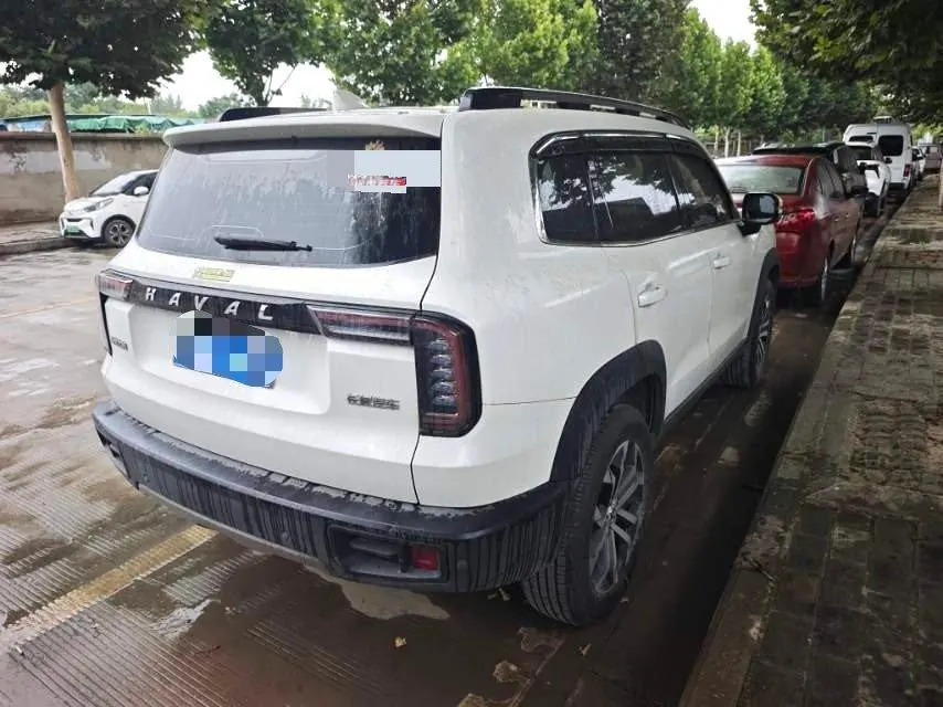 Haval 2021 Big Dogs 1.5T Border Animal Husbandry Wangcai Edition Automatic Gear 3