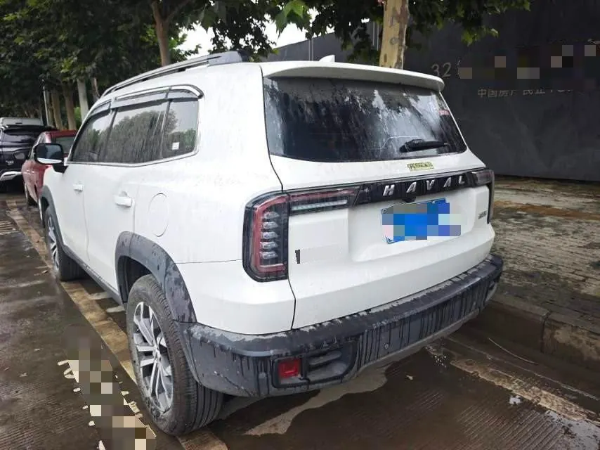Haval 2021 Big Dogs 1.5T Border Animal Husbandry Wangcai Edition Automatic Gear 4