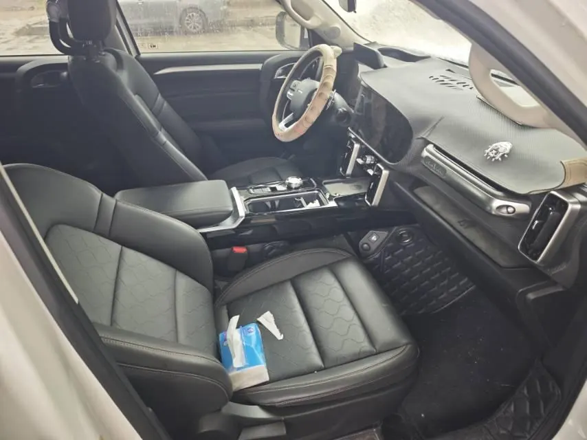 Haval 2021 Big Dogs 1.5T Border Animal Husbandry Wangcai Edition Automatic Gear 5