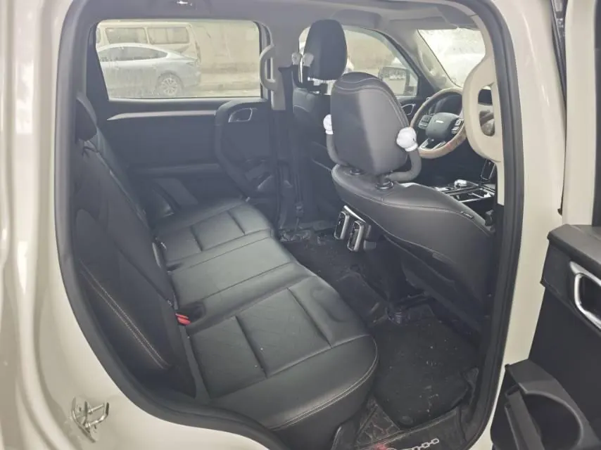 Haval 2021 Big Dogs 1.5T Border Animal Husbandry Wangcai Edition Automatic Gear 6